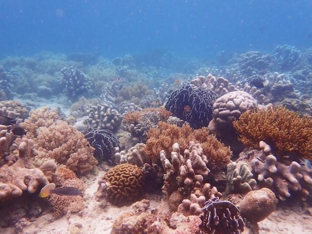 Nomad Divers Bangka Likupang Εξωτερικό φωτογραφία
